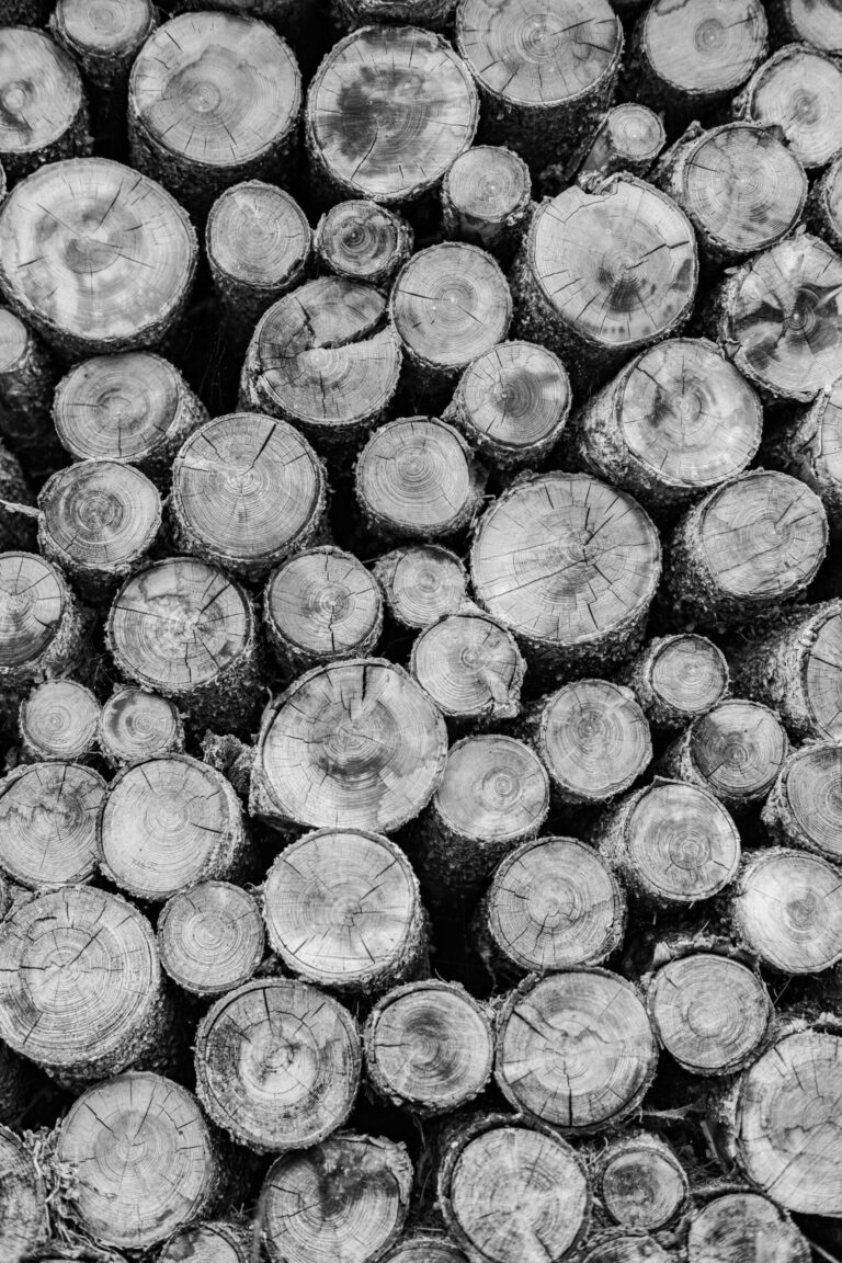 Kuidas lugeda WooCommerce logisid otse andmebaasist